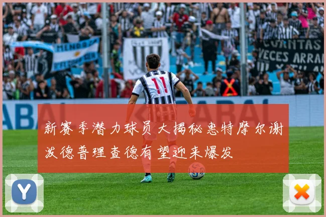 新赛季潜力球员大揭秘惠特摩尔谢泼德普理查德有望迎来爆发