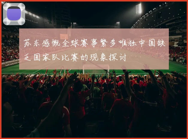 苏东感慨全球赛事繁多唯独中国缺乏国家队比赛的现象探讨